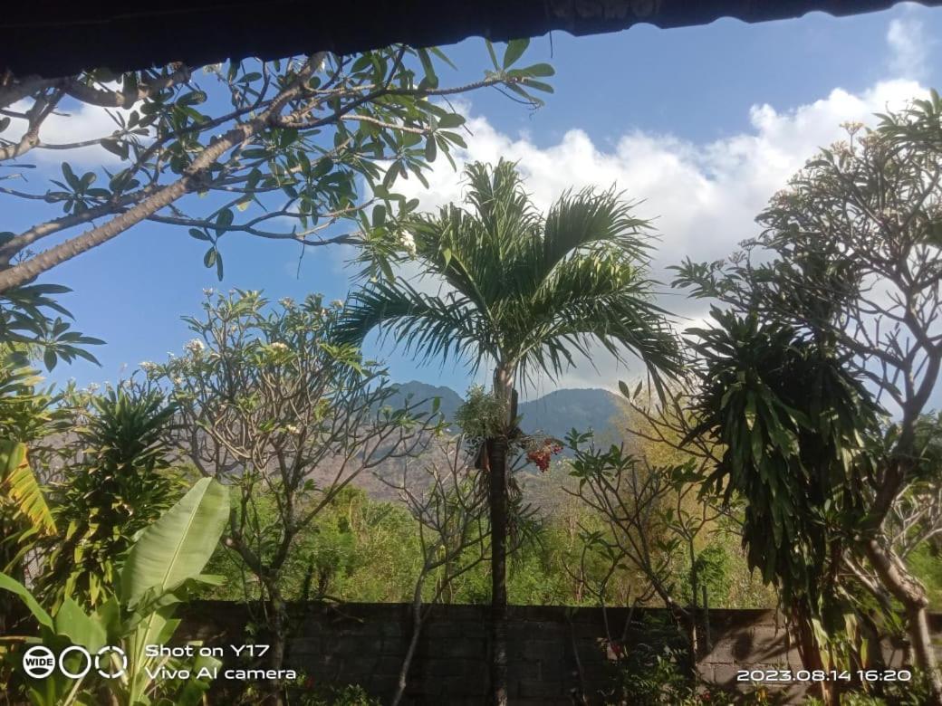 Tirta Bali Homestay Pemuteran Exterior foto